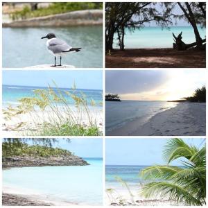 quatre photos différentes de la plage avec un oiseau sur la plage dans l'établissement Sea view Pointe, à Gregory Town