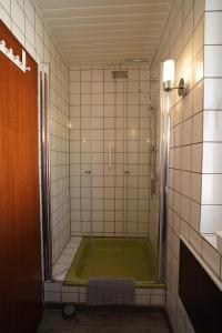 a shower with a green floor in a bathroom at Auszeit - Ferienwohnung und Appartements in Bad Sooden-Allendorf