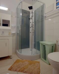 a bathroom with a shower and a toilet and a sink at Appartement avec vue sur la mer à Fort-de-France - 27 m² - Piscine in Fort-de-France