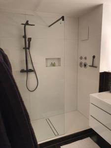 een douche met een glazen deur in de badkamer bij Römerpark 2 Zi-Appartement in Lindau