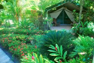a garden with a tent and some flowers and plants at Rafiki Beach Camp in Matapalo