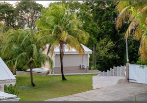 una casa con dos palmeras en un patio en Appartement d'une chambre avec vue sur la ville piscine partagee et terrasse amenagee a Fort de France a 4 km de la plage en Fort-de-France