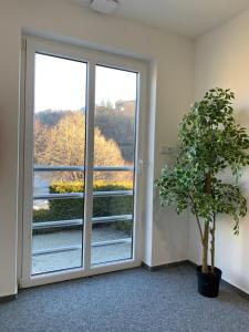 une chambre avec une fenêtre et une plante en pot dans l'établissement Chata Omicron, à Bítov