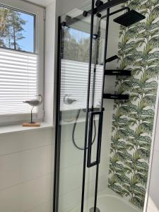 W łazience znajduje się prysznic ze szklanymi drzwiami. w obiekcie Apartament Baltic A8 Pobierowo w Pobierowie