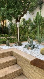 een tuin met cactussen en rotsen en een pad bij Twins House Sorrento in Sorrento
