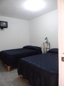 Krevet ili kreveti u jedinici u okviru objekta Hotel Lienzo Charro II