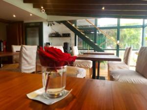 a glass vase with red roses sitting on a table at Tango B&B in Ushuaia