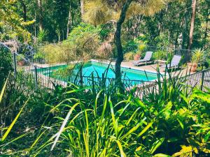 a swimming pool with two chairs and a tree at Wallaby Ridge Retreat in Mount Tamborine