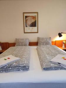 sypialnia z 2 łóżkami pojedynczymi i zdjęciem na ścianie w obiekcie Bastis City Center Lucerne w Lucernie