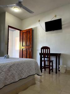 a bedroom with a bed and a chair and a television at Hotel Santa Isabel in Ciudad del Carmen