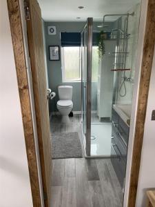 a bathroom with a toilet and a glass shower at Biking in the Borders in Innerleithen