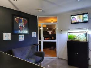 a living room with a chair and a tv on the wall at Hotel Santa Isabel in Ciudad del Carmen +67 photos