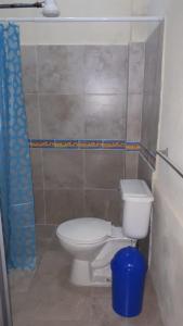 ein Badezimmer mit einem WC und einem blauen Mülleimer in der Unterkunft Apartamento Familiar frente a la Playa in Playas