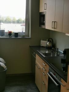 eine Küche mit einem Waschbecken und einem Fenster in der Unterkunft Pension die kleine Träumerei in Griesheim