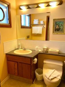 y baño con lavabo, aseo y espejo. en Rocky Mountain Springs Lodge en Radium Hot Springs