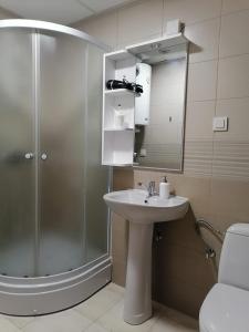 ein Bad mit einer Dusche, einem Waschbecken und einem Spiegel in der Unterkunft Cosmopolit Apartments in Ohrid
