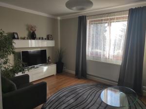 Televízia a/alebo spoločenská miestnosť v ubytovaní DoMo apartment
