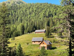a house on a hill in the middle of a field at Almhütte Prem2 in Ramingstein