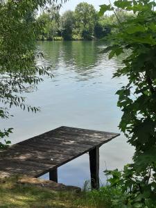 a wooden dock in the middle of a lake at Gasthof-Hotel Maintal in Bad Staffelstein