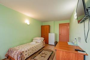 TV a/nebo společenská místnost v ubytování Elektromash Hotel
