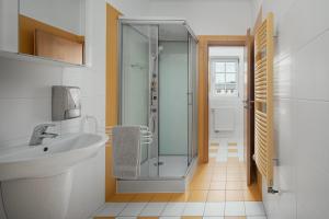 uma casa de banho com uma cabina de duche em vidro e um lavatório. em Apartmán - Dům Českého Švýcarska em Krásná Lípa