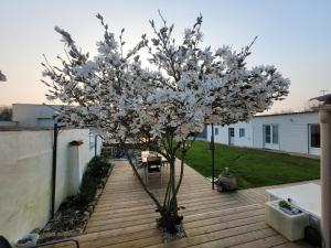 a tree with white flowers on a wooden deck at "Le studio" in Mouilleron-le-Captif