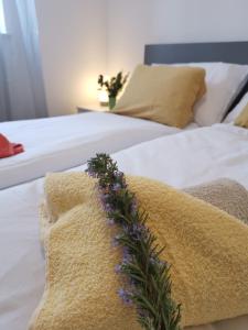 Łóżko lub łóżka w pokoju w obiekcie Apartment Zoanda