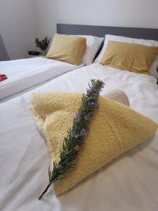 Łóżko lub łóżka w pokoju w obiekcie Apartment Zoanda