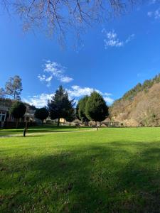 un campo de césped verde con árboles y un cielo azul en Hotel Mirador de Barcia, en Ribeira de Piquin