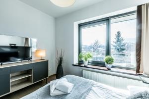 Schlafzimmer mit einem Bett, einem TV und einem Fenster in der Unterkunft Apartament Widokowy- Zakopane in Zakopane