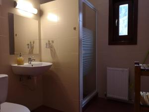 a bathroom with a shower and a sink and a toilet at Casa de Vacanta Dintre Brazi in Topliţa +28 photos