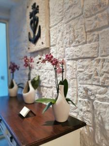 Fotografie z fotogalerie ubytování L'auberge Camarguaise v Saintes-Maries-de-la-Mer