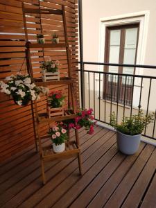 une terrasse couverte avec des plantes en pot et une échelle avec des fleurs dans l'établissement La Terrazza di Carolina, à Agrigente