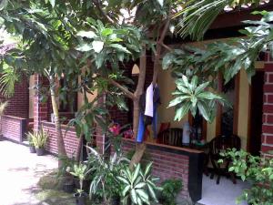 Gallery image of Rinjani Homestay in Pangandaran