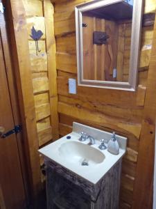 La salle de bains est pourvue d'un lavabo et d'un miroir. dans l'établissement Cabaña Via Verde, à Tandil