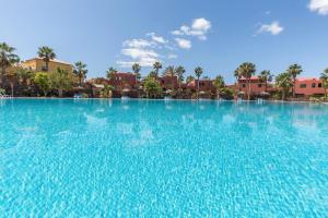 Swimmingpoolen hos eller tæt på Fuerteventura Apartments Harmony