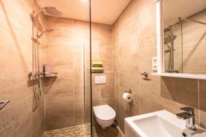 a bathroom with a shower and a toilet and a sink at Steinbühler Hof - Stressfrei am Lande in Bad Koetzting