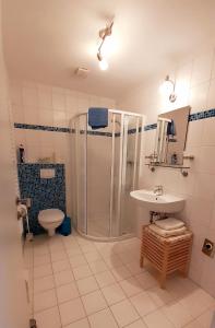 a bathroom with a shower and a sink and a toilet at LunzFerien in Lunz am See