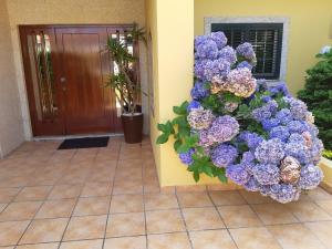 un montón de flores púrpuras al lado de una puerta en Ferienhaus Casa do mar mit seitlichem Meerblick en Vila Chã