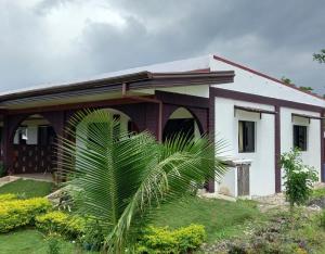 una casa con una palma di fronte di Teresa house Rental Villa Teresa Philippines a Moalboal