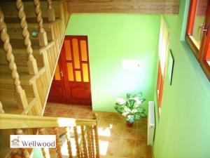 a room with a staircase with a door and a plant at Cottage Wellwood in Sinyak