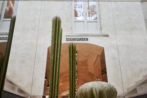 Fotografie z fotogalerie ubytování SUGAR ROOMS Residenza d'Epoca v destinaci Arezzo