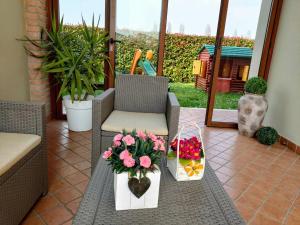 A garden outside Villa Venezia