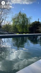 a pool of water with trees in the background at CAMPING GALLINA VARJA in Sotta