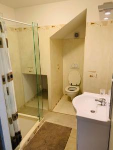 Un baño con ducha, inodoro y lavabo. en Motel Heaven, en Zgornje Dobrenje
