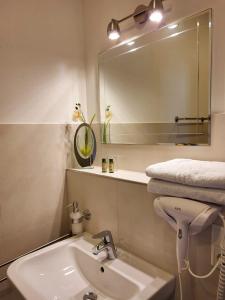 La salle de bains est pourvue d'un lavabo et d'un miroir. dans l'établissement Lutz Motel, à Paderborn