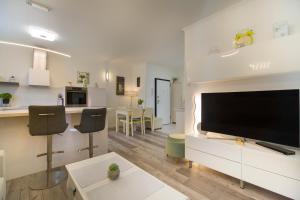TV a/nebo společenská místnost v ubytování Apartment Marica