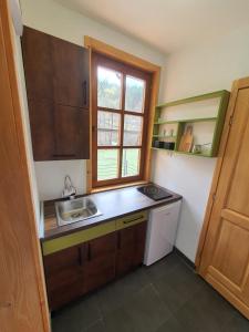 Kuhinja oz. manjša kuhinja v nastanitvi Apartments Ostojic