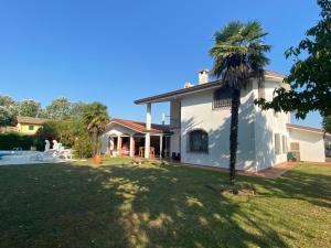 una casa con una palmera en el patio en Villa Mischa, en Bevazzana