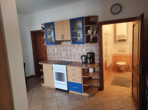 Kuchyňa alebo kuchynka v ubytovaní DoMo apartment